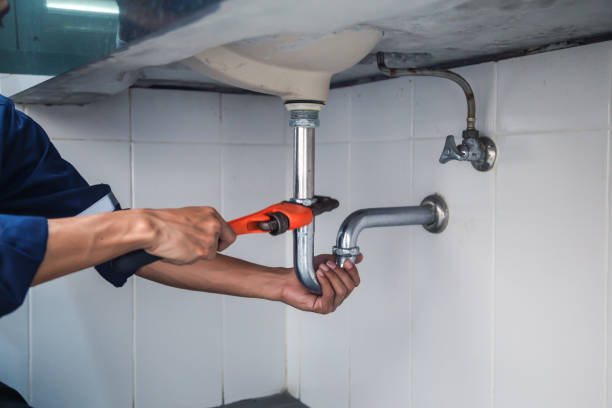 Best Plumbing Inspection Services  in Rock Valley, IA
